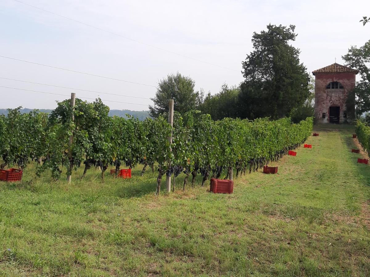 Marchesi Incisa Winery Lodge Rocchetta Tanaro Buitenkant foto
