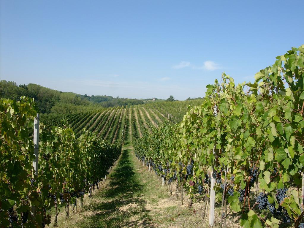 Marchesi Incisa Winery Lodge Rocchetta Tanaro Buitenkant foto
